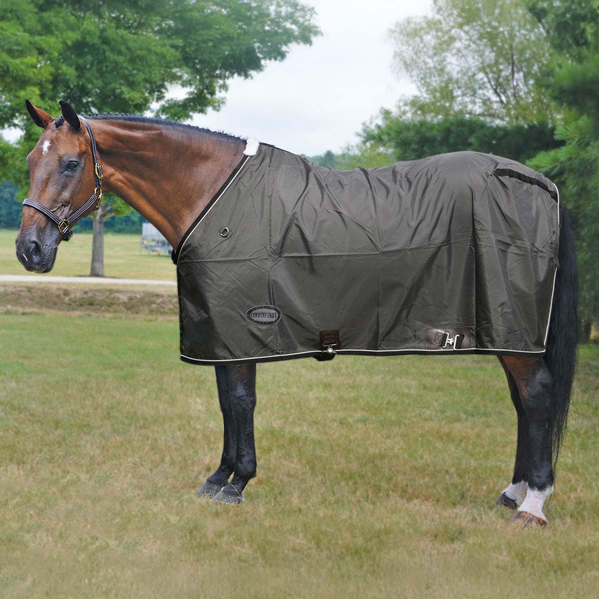 Stable Sheets and Blankets