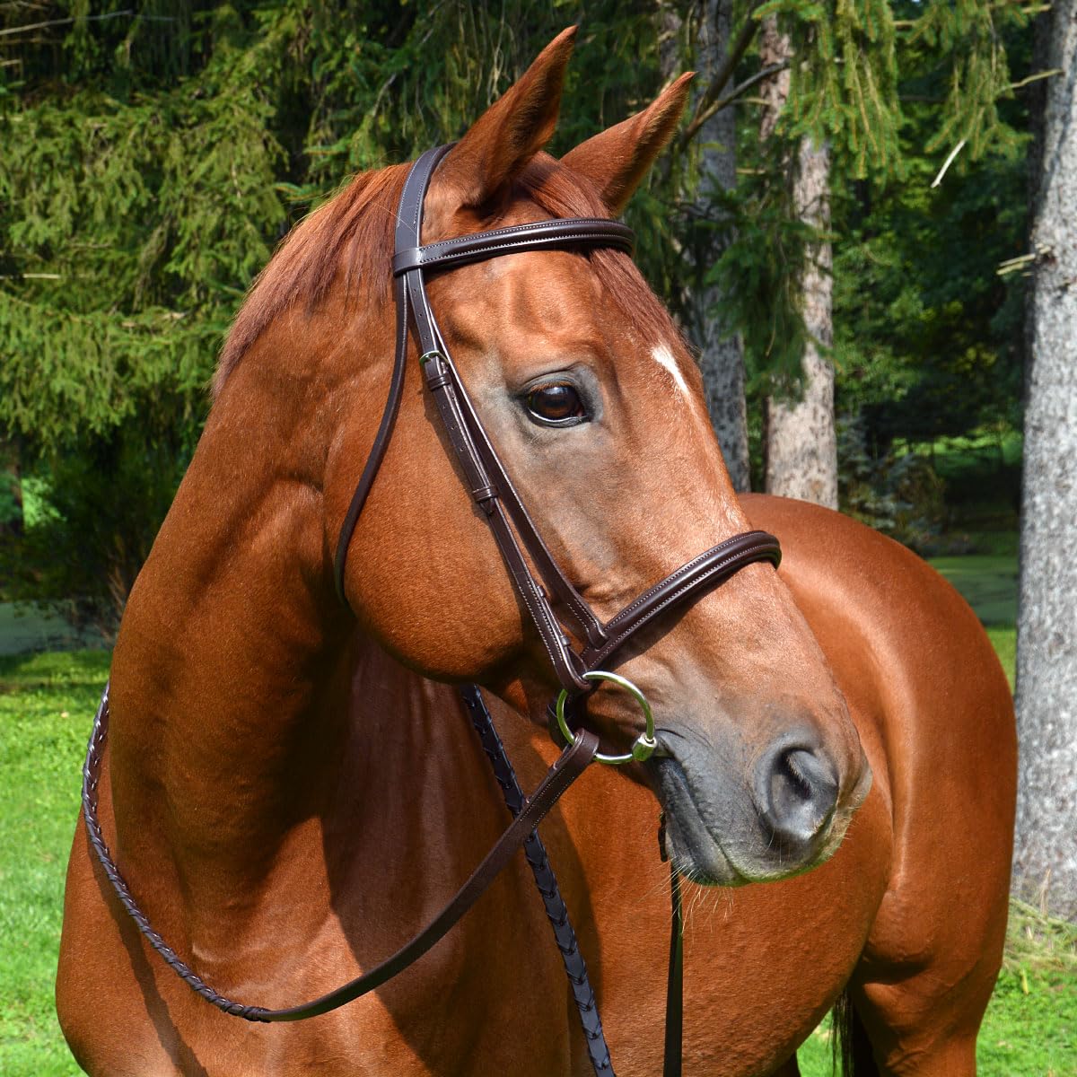 Country Pride Best Sellers